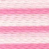 Varigated Rose - 2345