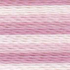 Varigated Lilac - 2349