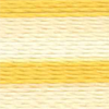 Varigated Maize - 2357