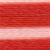 Varigated Tangerine - 2358