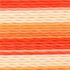 Varigated Orange - 2359