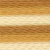 Varigated Gold - 2362