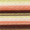 Varigated Fiesta - 2367