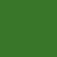 Green - 5509