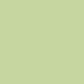 Mint - 5538