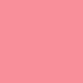 Shrimp - 5546