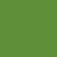 Spruce - 5579
