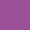 Plum - 5592