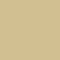 Seashell - 5776