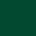 Special Green - 5805
