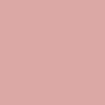 Toasted Champagne - 9063