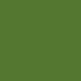 Bonaire Green - 9152