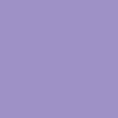 Tulip Lavender - 9167