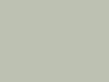 Palm Leaf-2241