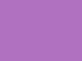 Iris-2288