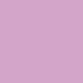 Dwarf Lilac - 9009