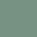 Kiwi Green - 9107